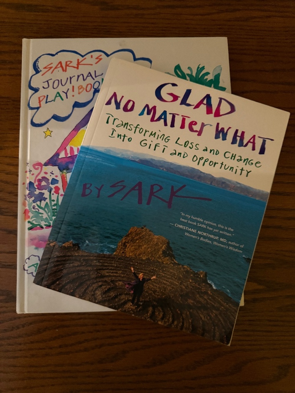 ✨🌈 2 SARK Books Transformative Self Care Creativity & Healing 🌈✨